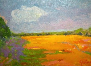 Campo in estate